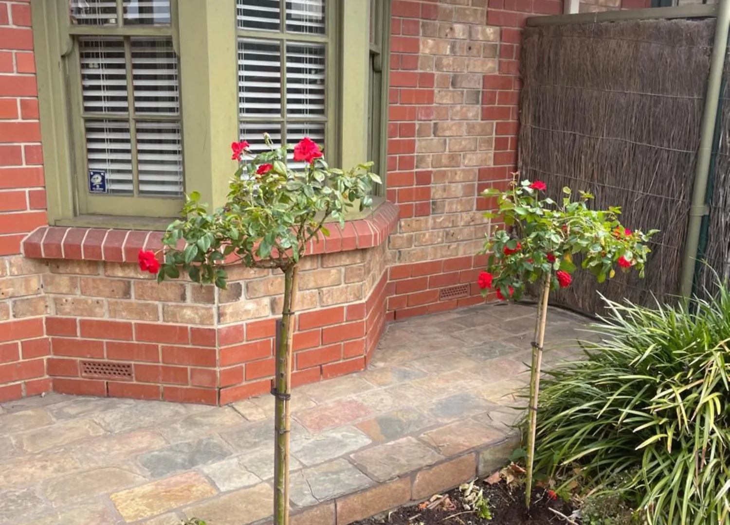 Adelaide Style Accommodation-Getaway In North Adelaide- Close To City 0*,