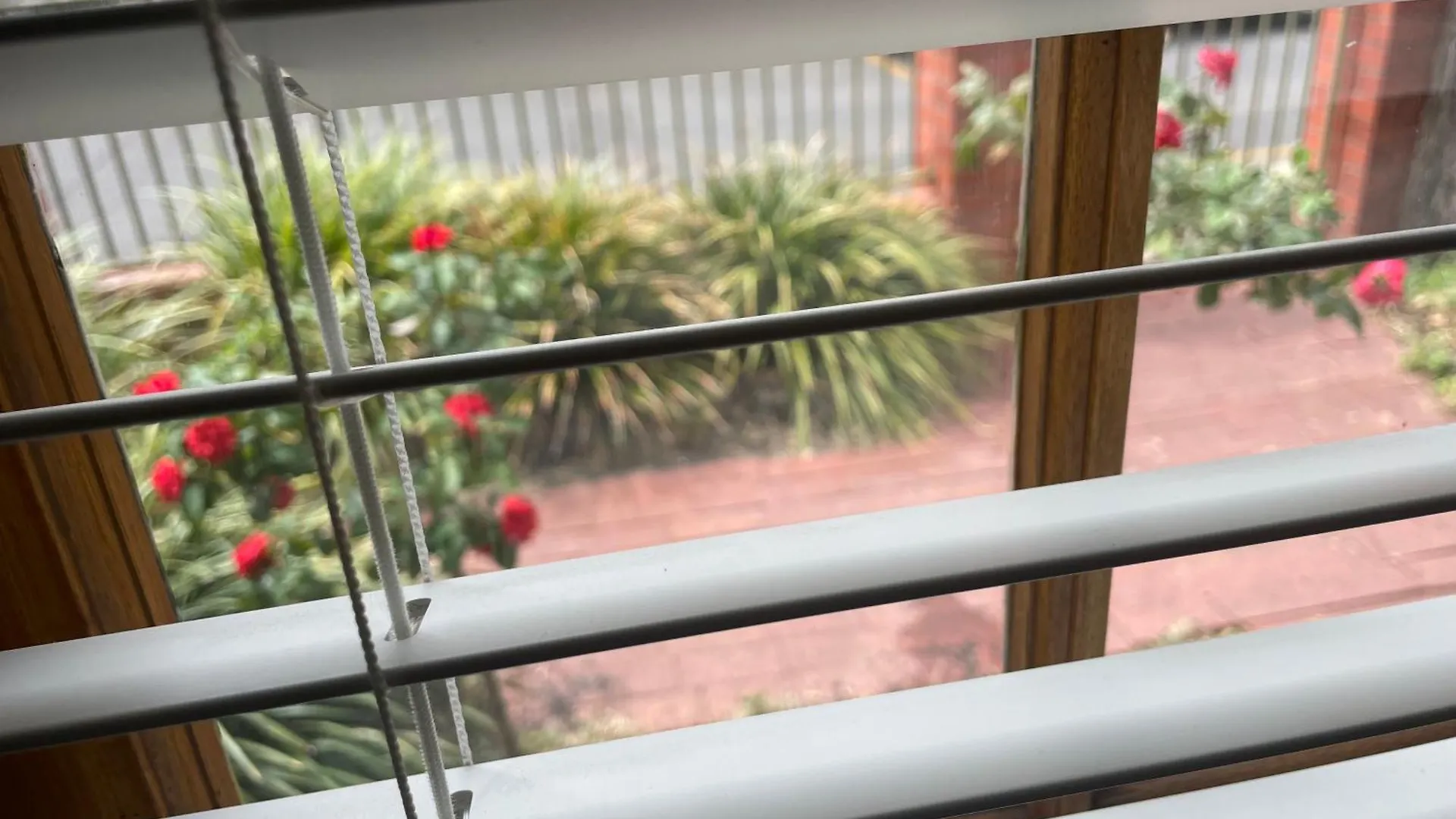 Adelaide Style Accommodation-Getaway In North Adelaide- Close To City オーストラリア