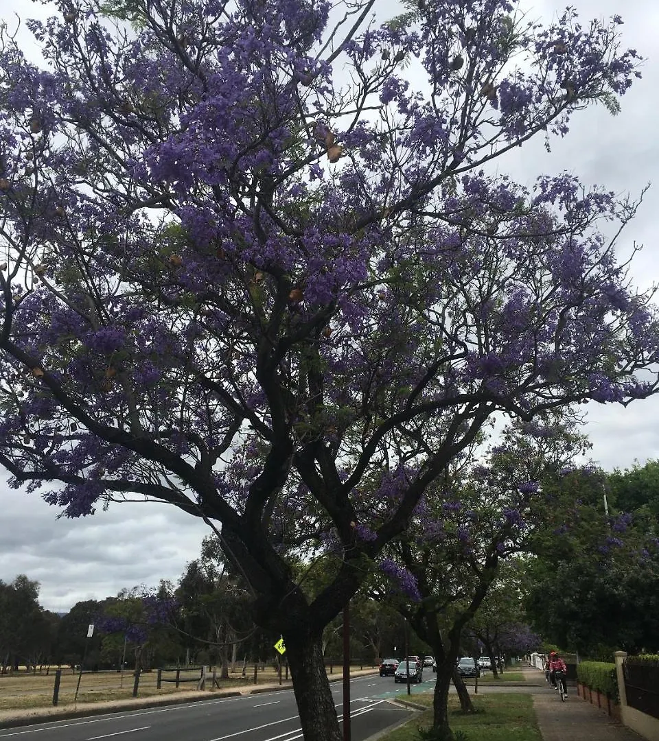 Adelaide Style Accommodation-Getaway In North Adelaide- Close To City アパート